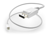 Mini DisplayPort to DisplayPort Male to Male