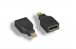 Mini DisplayPort to DisplayPort Adapter