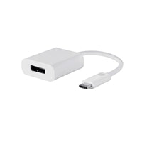 USB Type C to DisplayPort Female Adapter